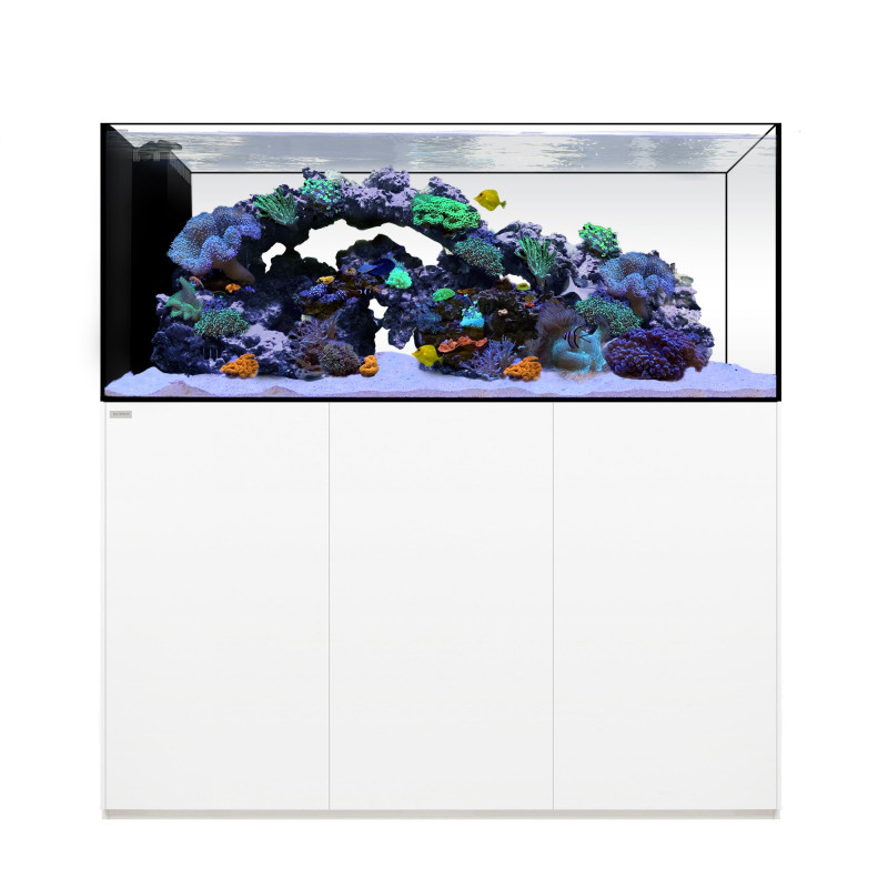 Peninsula 154x65x60cm. 6026 - Waterbox (Portes Grátis)