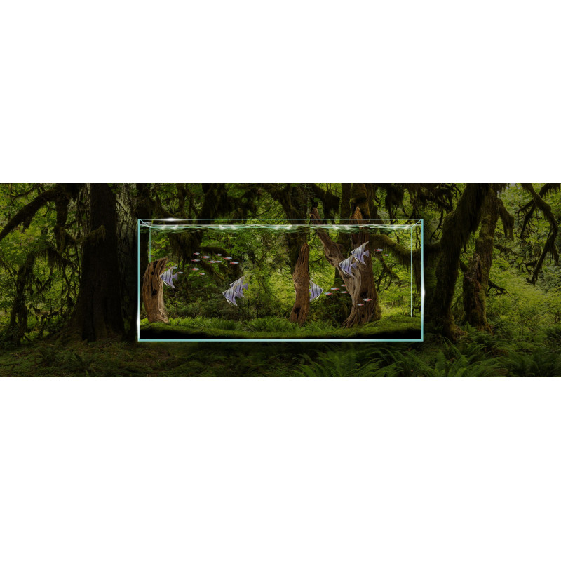 Clear 3618 - WaterBox (Portes Grátis)