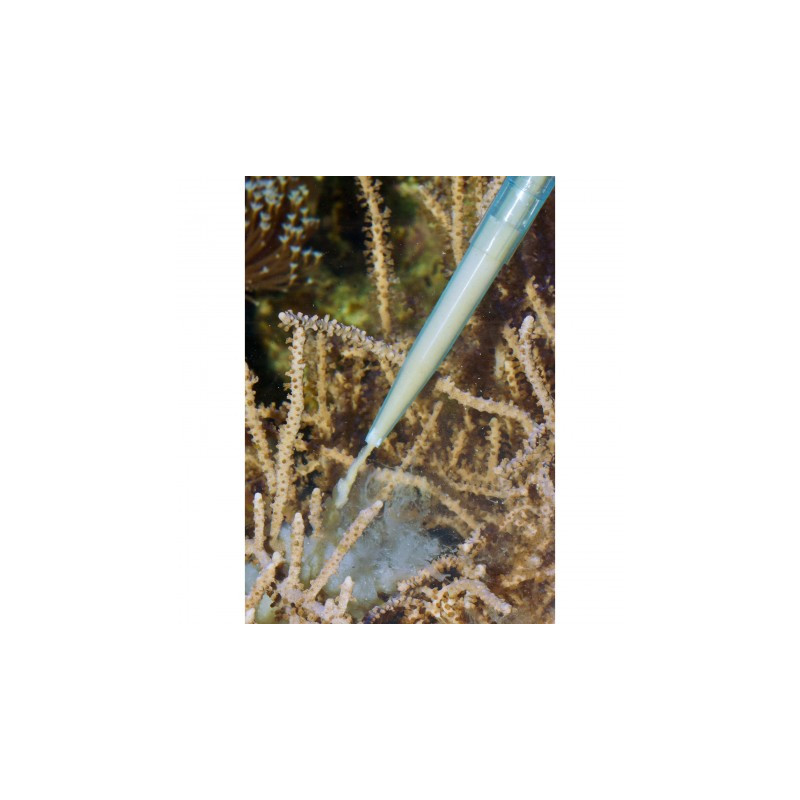 Aqua Medic Pipette 60 Aqua Medic Pipette 60