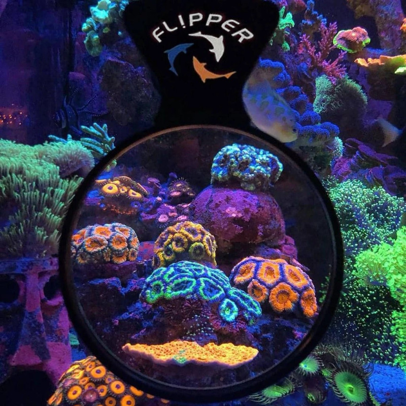 Flipper Deep See Lupa