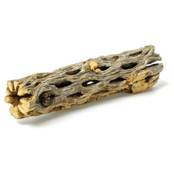 Cholla Wood Cholla Wood