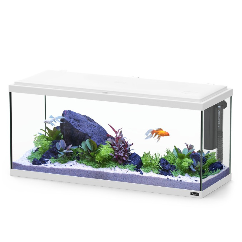 KIT Explorer Amsterdam 85L + LED + Aquecedor 100w + Filtro - Aquatlantis