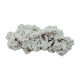Aquascape Rock - D-D Aquarium Solutions