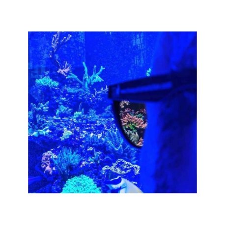 D-D Coral Viewing Glasses