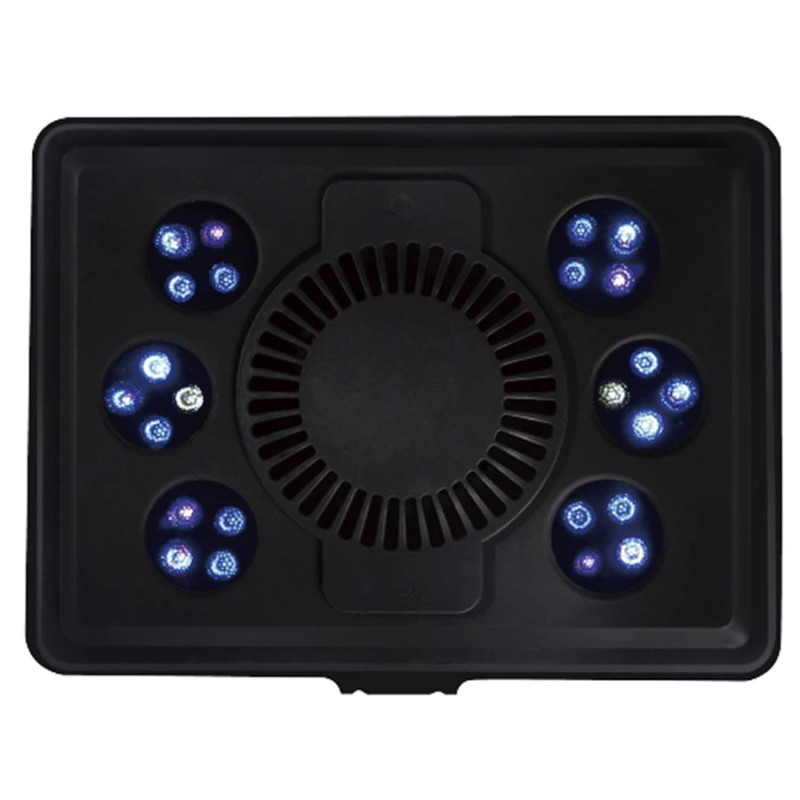 JUMP LED MJ-L165 MAXSPECT L165