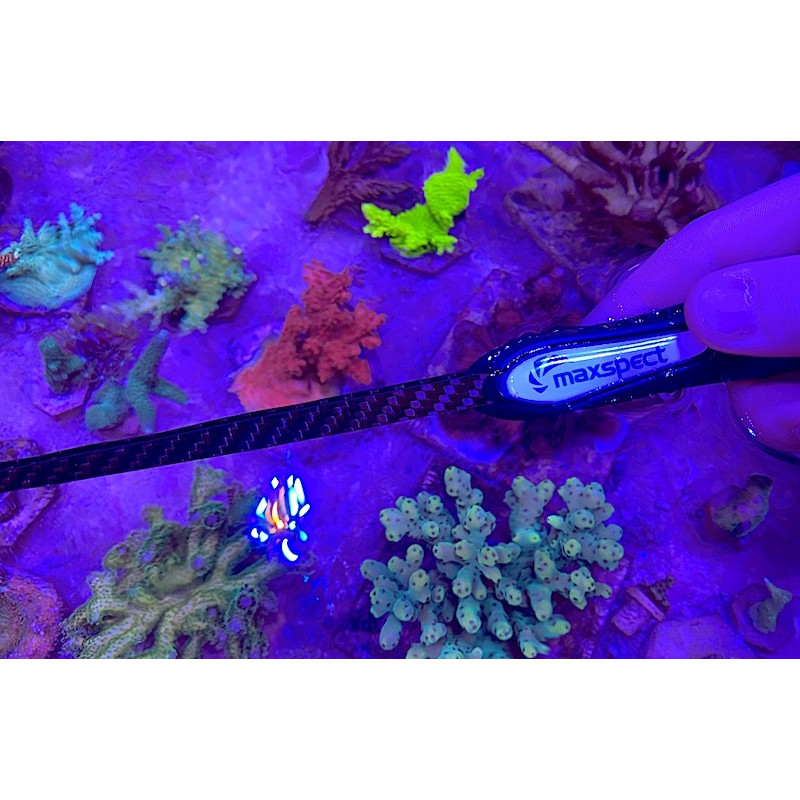 Pinça para Corais - Maxspect