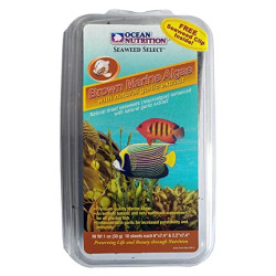 Brown Marine Algae w/ Garlic - Ocean Nutrition Brown Marine Algae w/ Garlic - Ocean Nutrition