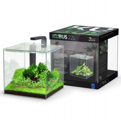 Aquário KUBUS 22L + LED + Filtro - Aquatlantis Aquário KUBUS 22L + LED + Filtro - Aquatlantis