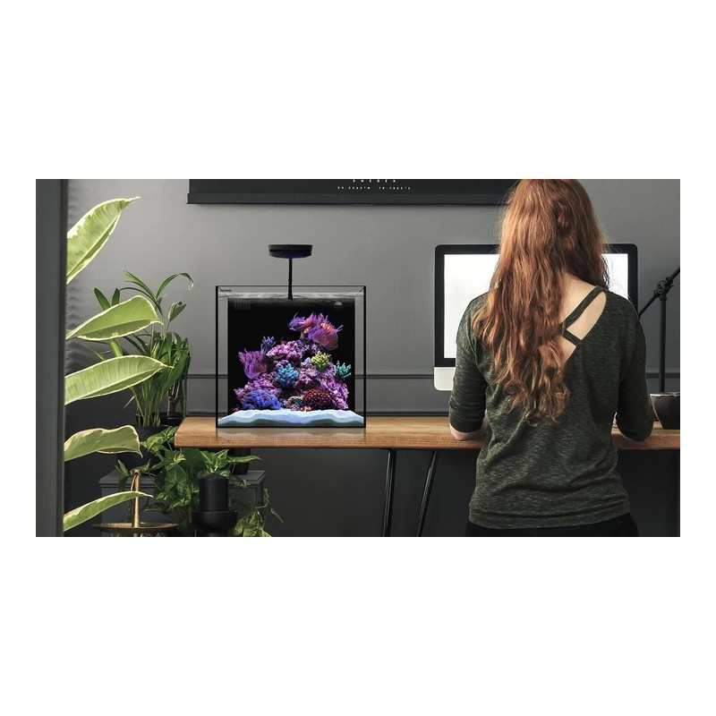 Cube 20 45*45*40 76L - Waterbox Cube 20 45*45*40 76L - Waterbox