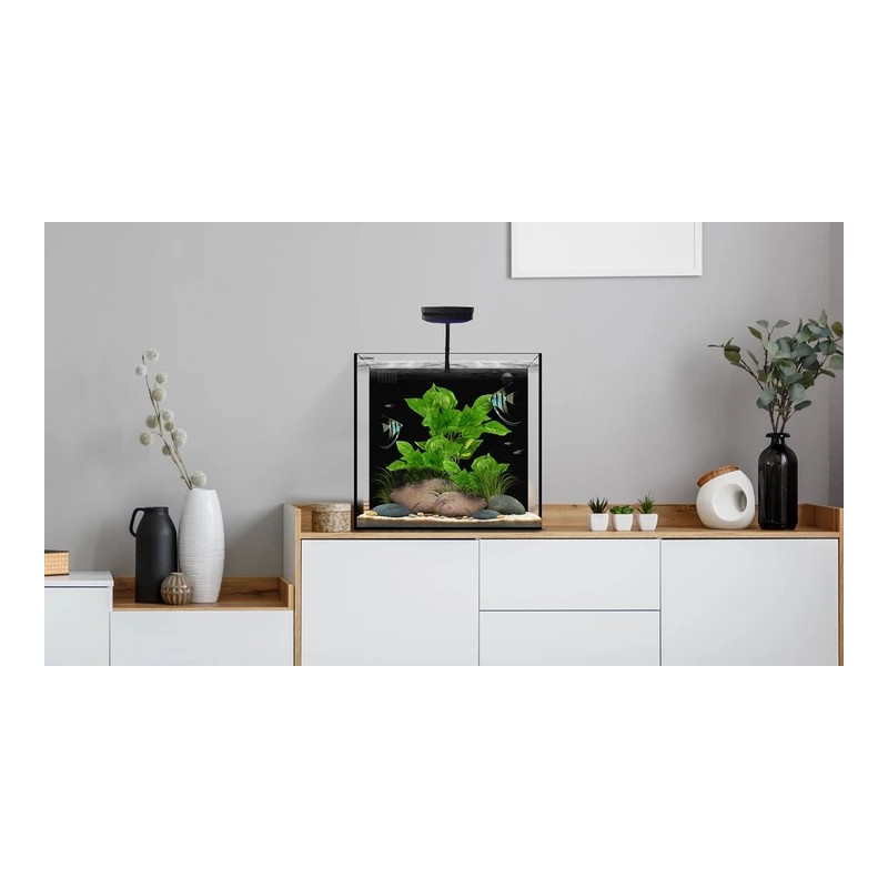 Cube 20 45*45*40 76L - Waterbox Cube 20 45*45*40 76L - Waterbox