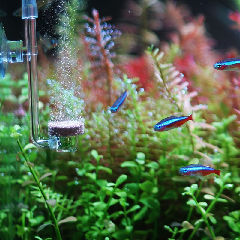 Twinstar CO2 Diffuser - Versão Nova - Large