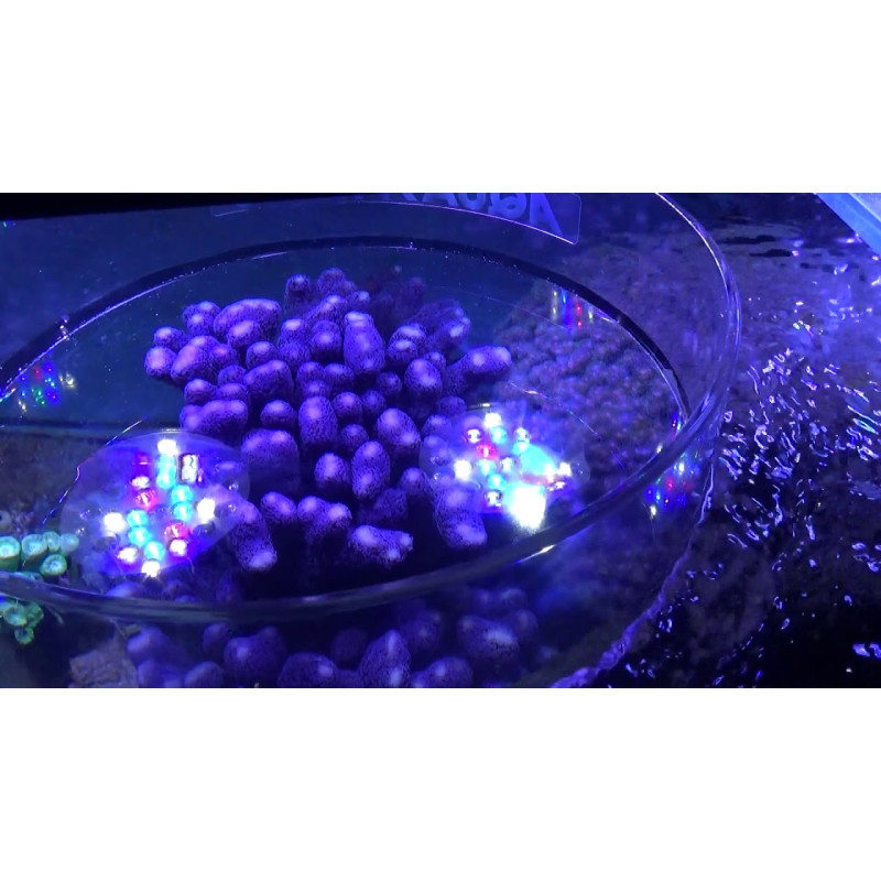 TOPVIEW 200 MM CORAL VIEWER - AquaMedic