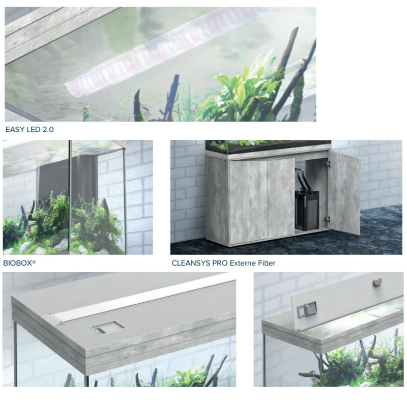 Aquário Splendid 60 - Aquatlantis Aquário Splendid 60 - Aquatlantis