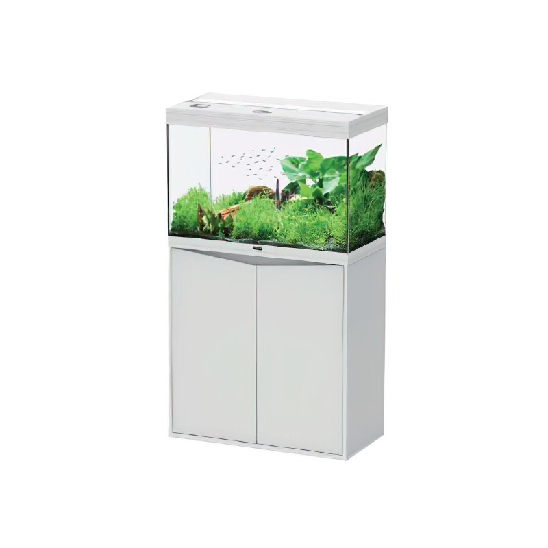 Acuario Splendid 80 - Aquatlantis