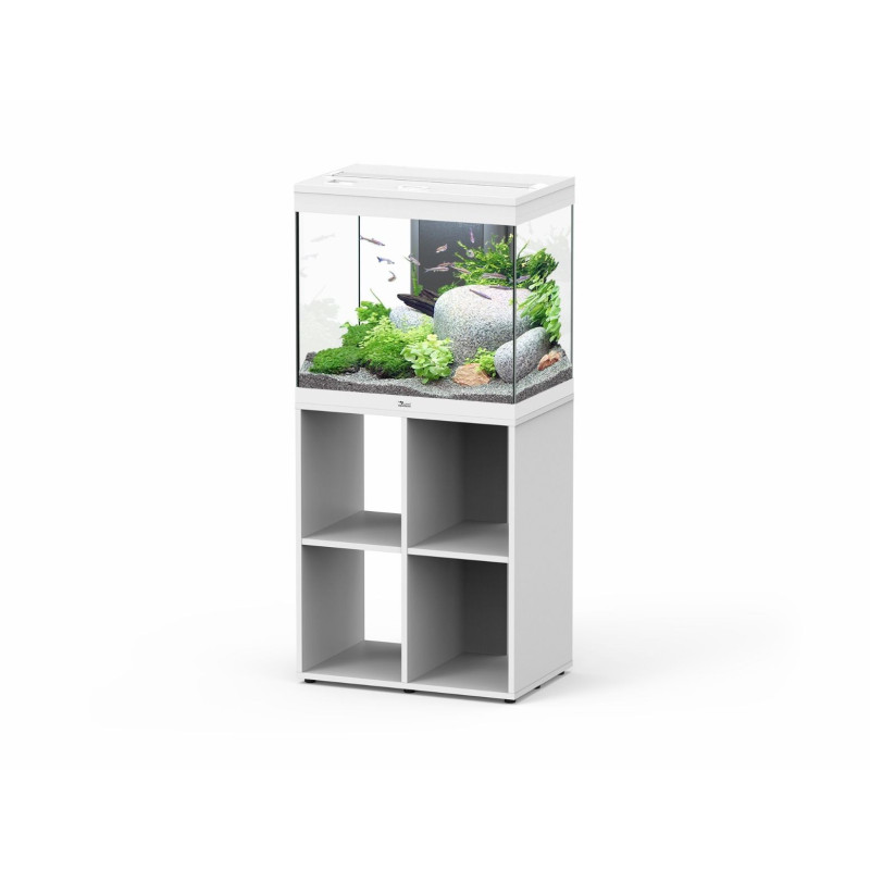 Aquário Splendid 60 - Aquatlantis