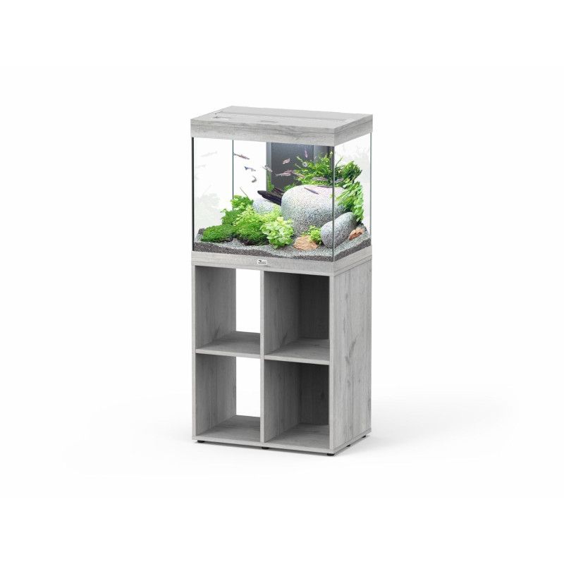 Aquário Splendid 60 - Aquatlantis