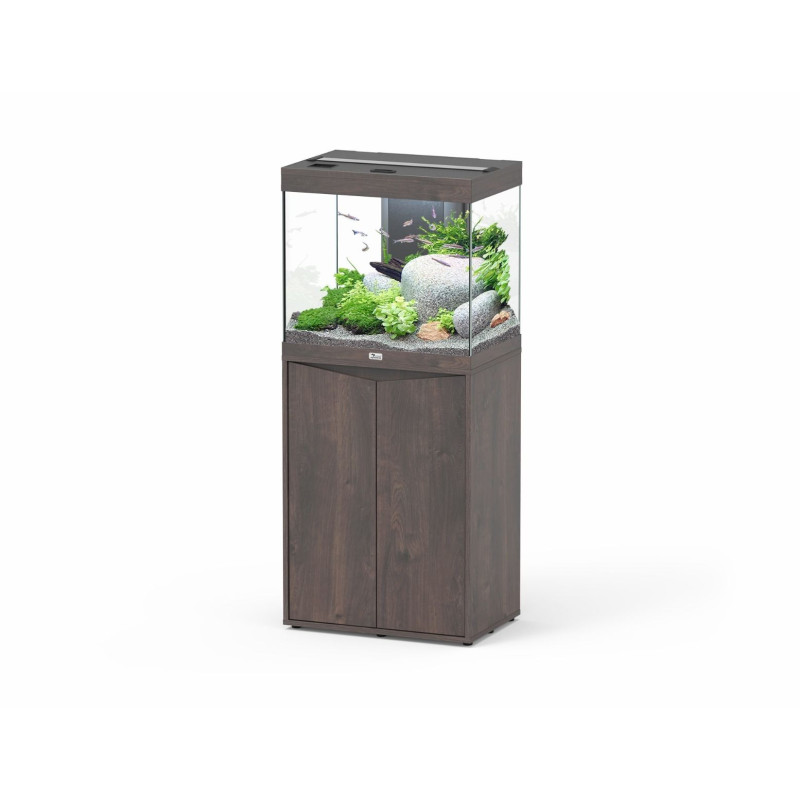 Aquário Splendid 60 - Aquatlantis Aquário Splendid 60 - Aquatlantis