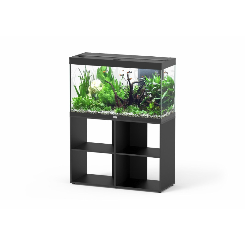 Aquário Splendid 80 - Aquatlantis