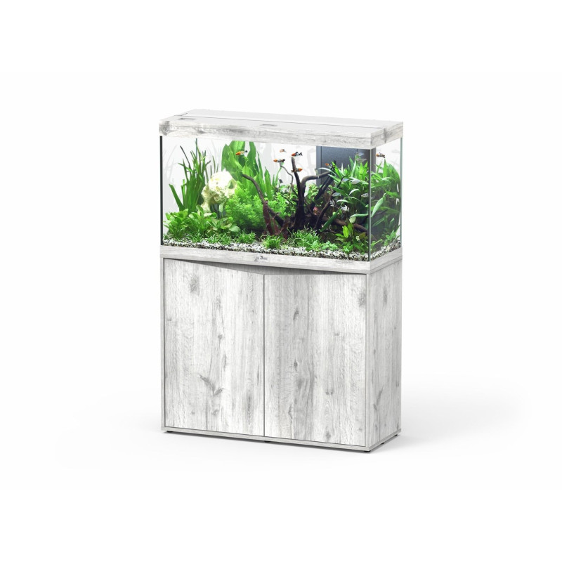 Aquário Splendid 80 - Aquatlantis