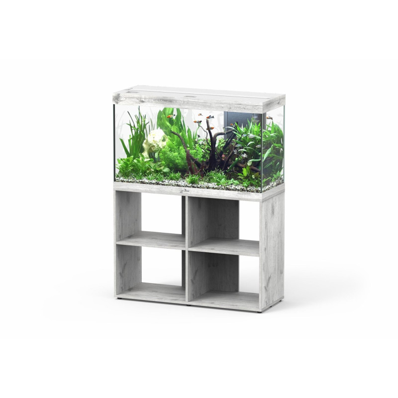 Aquário Splendid 80 - Aquatlantis Aquário Splendid 80 - Aquatlantis