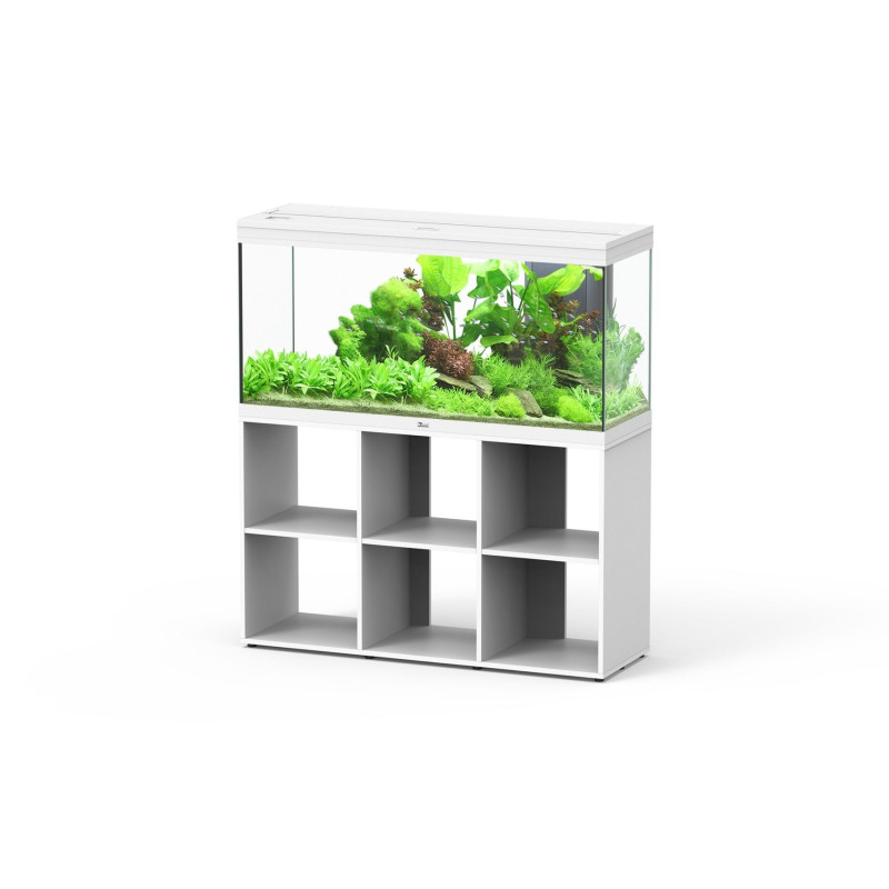 Acuario Splendid 120 - Aquatlantis