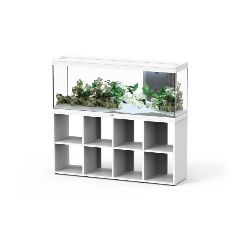 Acuario Splendid 150 - Aquatlantis