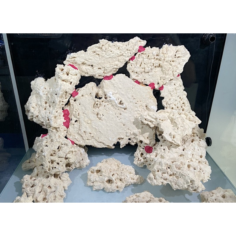 Coral Putty Epoxy - Maxspect