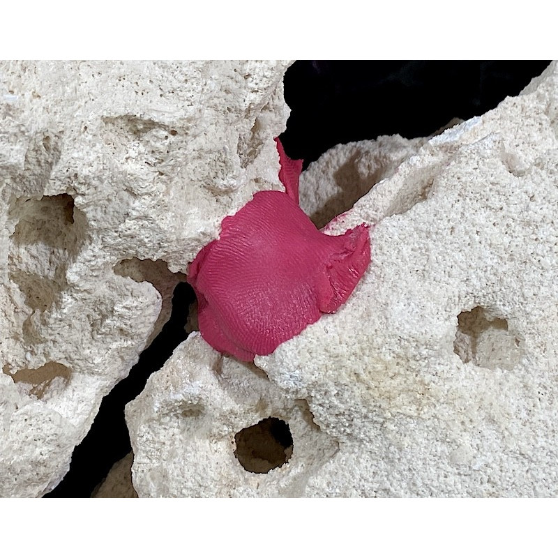 Coral Putty Epoxy - Maxspect