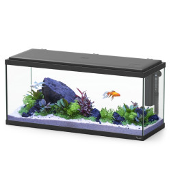 KIT Explorer Amsterdam 85L + LED + BioBox 1 - Aquatlantis KIT Explorer Amsterdam 85L + LED + BioBox 1 - Aquatlantis