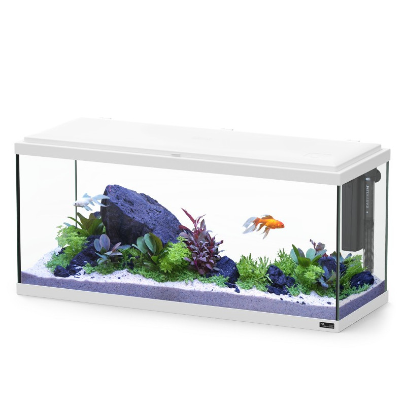 KIT Explorer Amsterdam 85L + LED + BioBox 1 - Aquatlantis