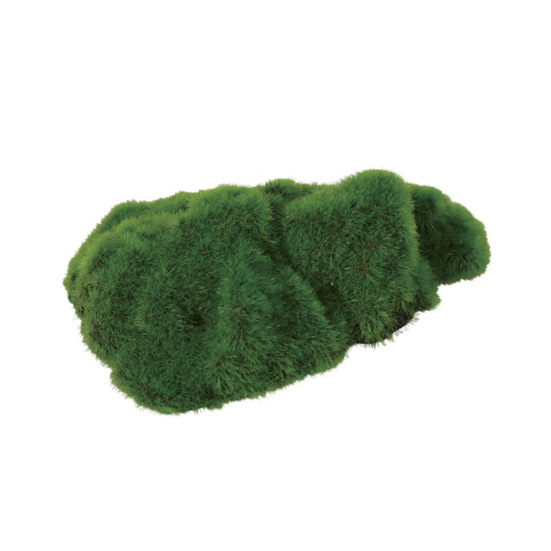 Ki Pouss Roca Decoração p/ Germinar