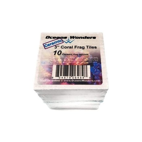 Coral Frag Tile 3' (7.6cm 10uni) - Oceans Wonders