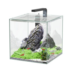 Acuario KUBUS 33L + LED + Filtro Acuario KUBUS 33L + LED + Filtro