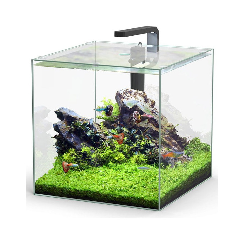 Aquário KUBUS 33L - Aquatlantis