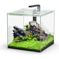 Acuario KUBUS 54L + LED + Filtro - Aquatlantis Acuario KUBUS 54L + LED + Filtro - Aquatlantis