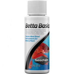 Betta Basics Betta Basics
