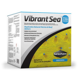 Vibrant Sea Salt Vibrant Sea Salt