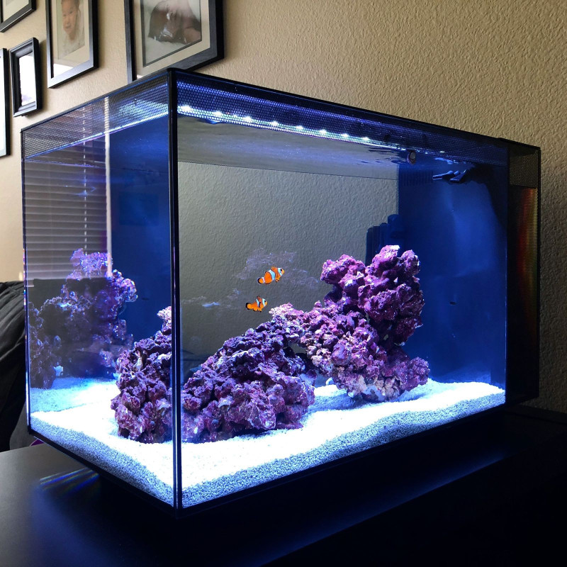 Fluval Sea Evo 52L Aquário Marinho