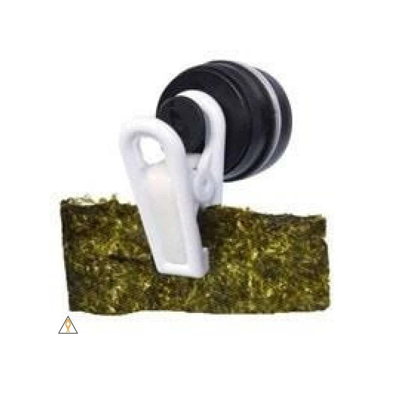 ReVive Coral Cleaner - Two Little Fishies