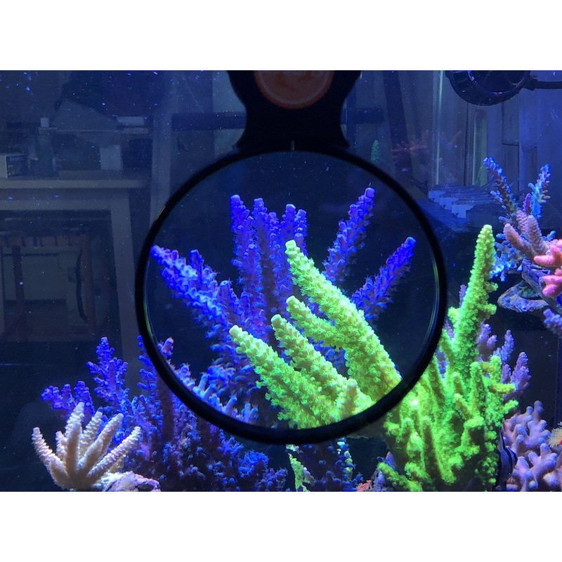 Flipper Nano Deep See Magnifier