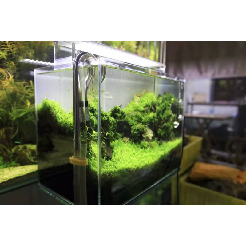 Chihiros A II 451 45cm