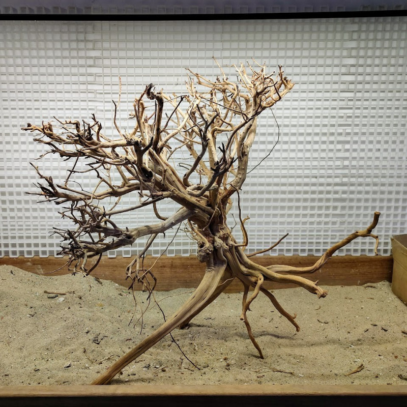 Bonsai para Aquário WYSIWYG Nº9