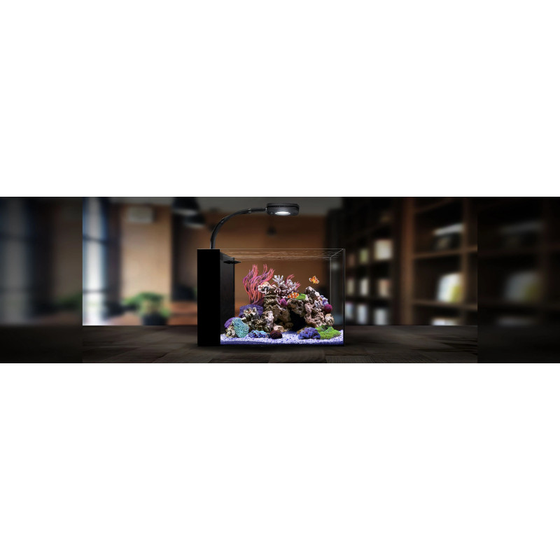 Peninsula Mini 15 - 50*35*35cm - WaterBox