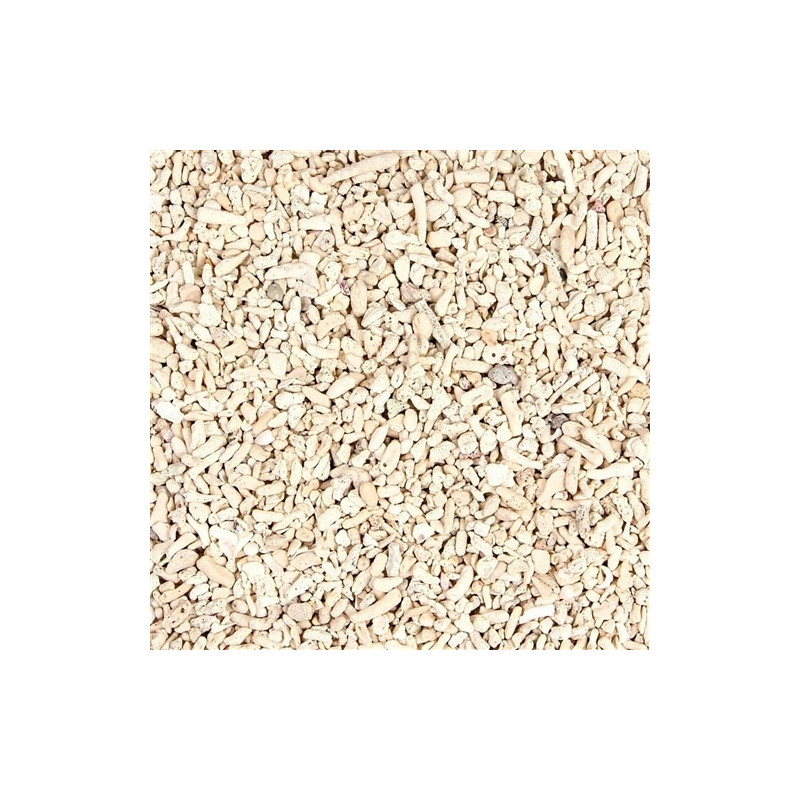 Areia de Coral Zoptus (2-3 / 3-4mm) - 5KG Areia de Coral Zoptus (2-3 / 3-4mm) - 5KG