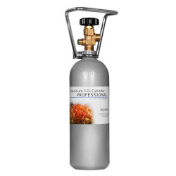 Garrafa de CO2 2L Recarregável Garrafa de CO2 2L Recarregável