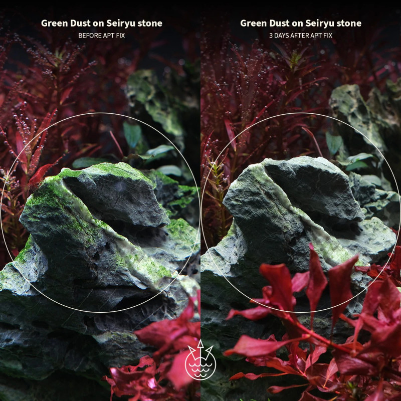 APT Fix - 2HR Aquarist