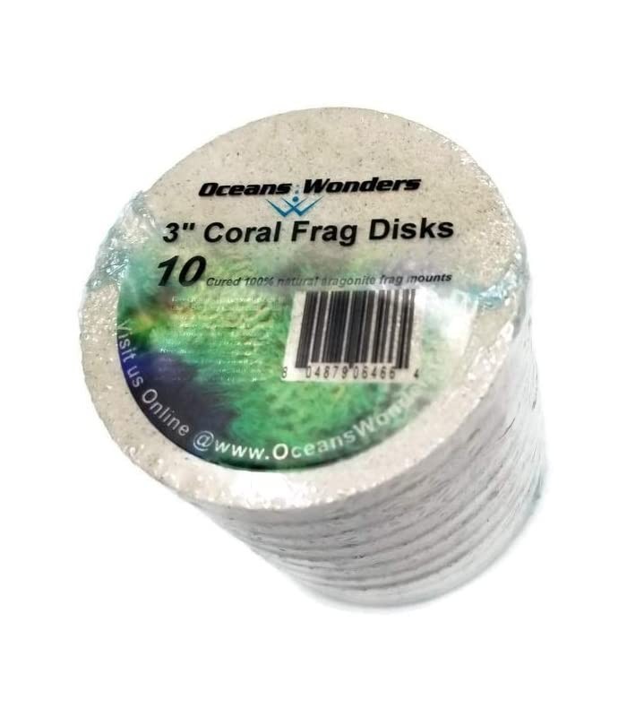 Coral Frag Tile 3' (7.6cm 10uni) - Oceans Wonders