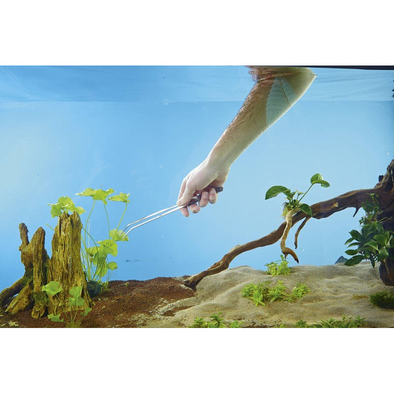 Pinzas para plantas - Oase