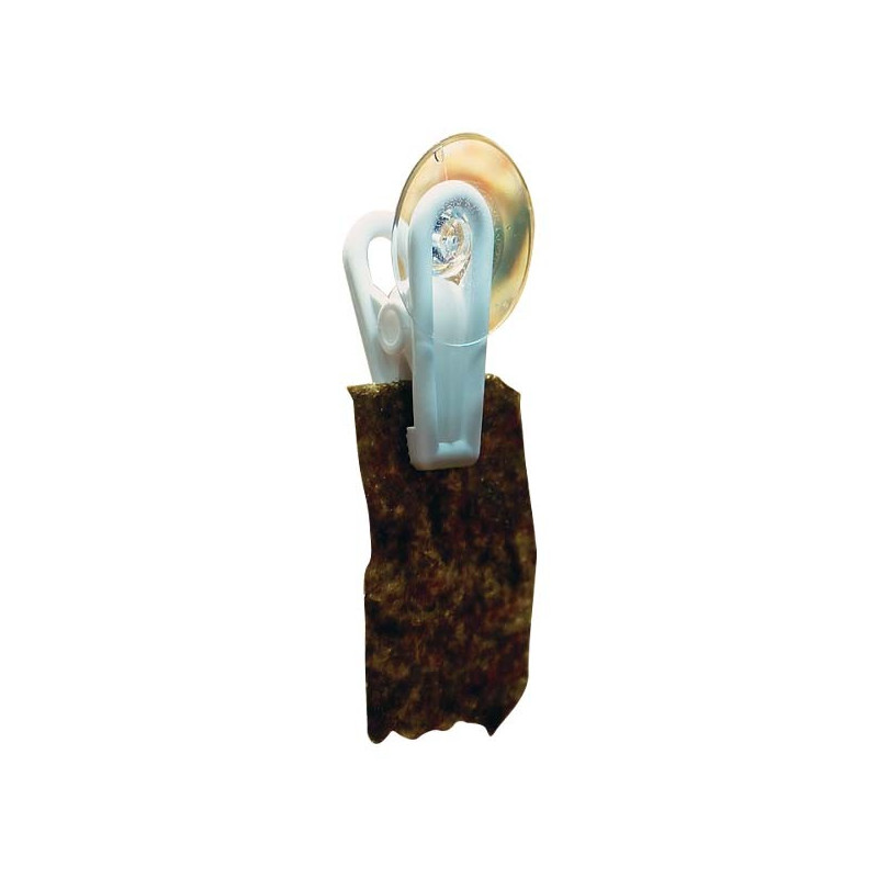 SeaVeggies Clips S - Two Little Fishies