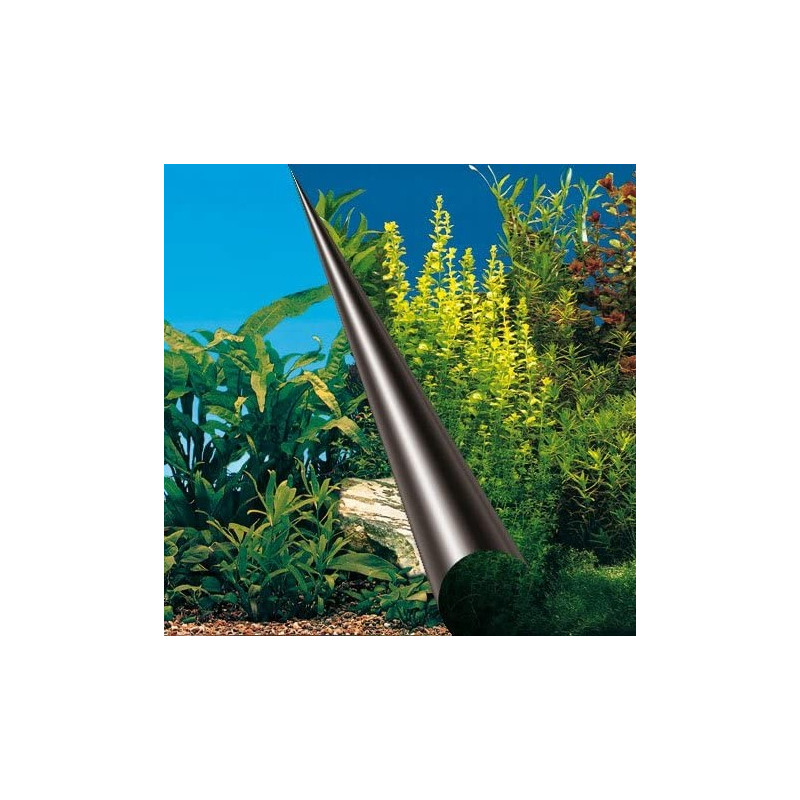 EBI Poster para Aquário BEAUTY + SEA